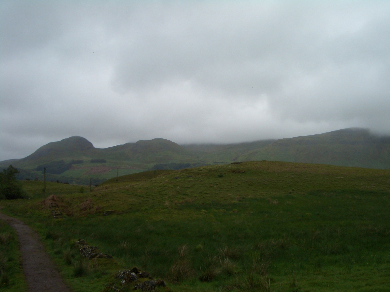Tag_1_008_CIMG7885