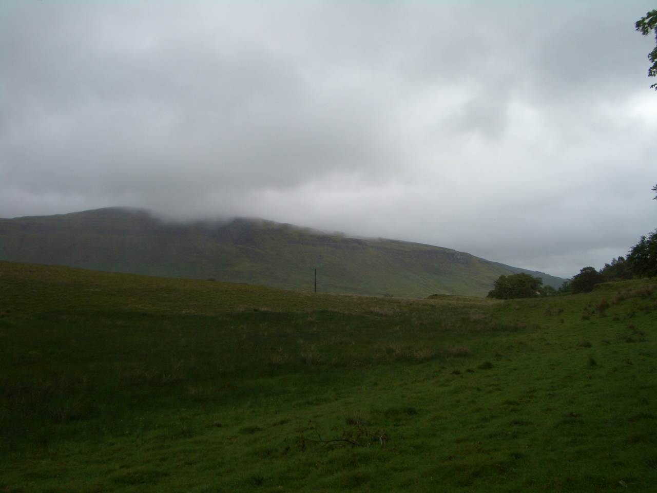 Tag_1_009_CIMG7886