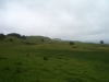 Tag_1_006_CIMG7883