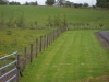 Tag_1_021_CIMG7894
