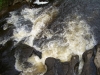 Tag_1_025_CIMG7896