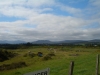 Tag_1_030_CIMG7899