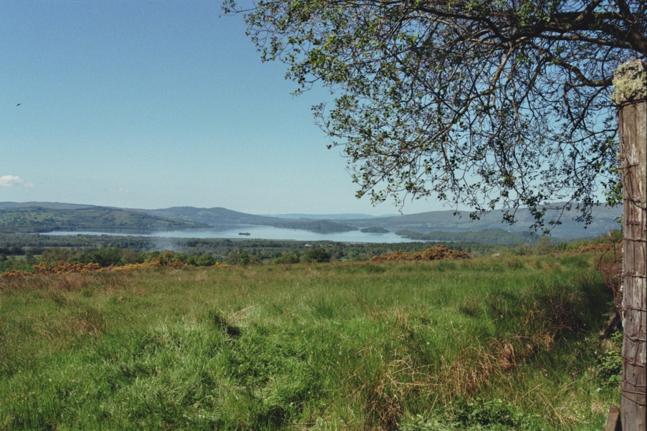 Tag_2_008_873022_34
