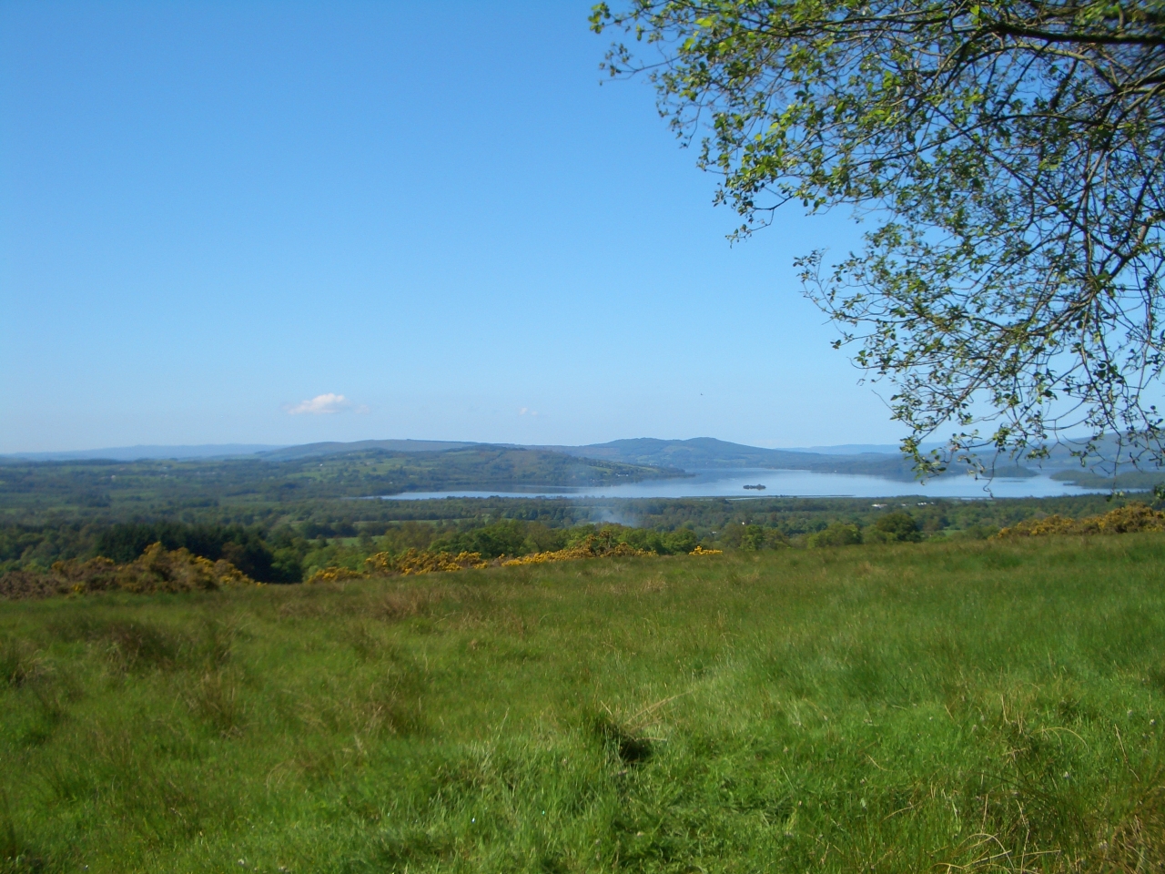 Tag_2_009_CIMG7906