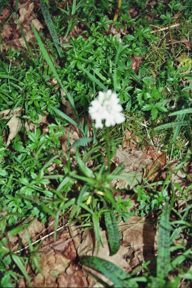 Tag_2_010_873022_35