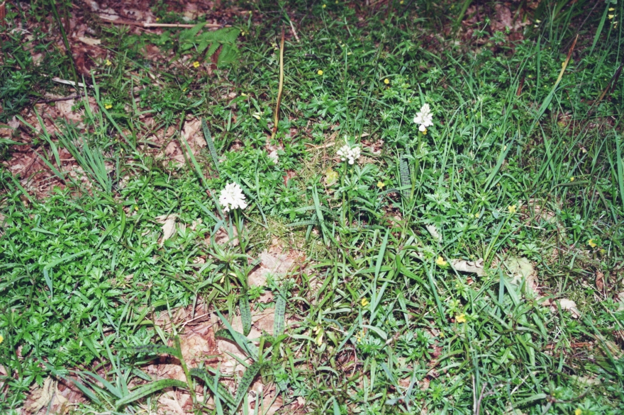 Tag_2_011_873022_36