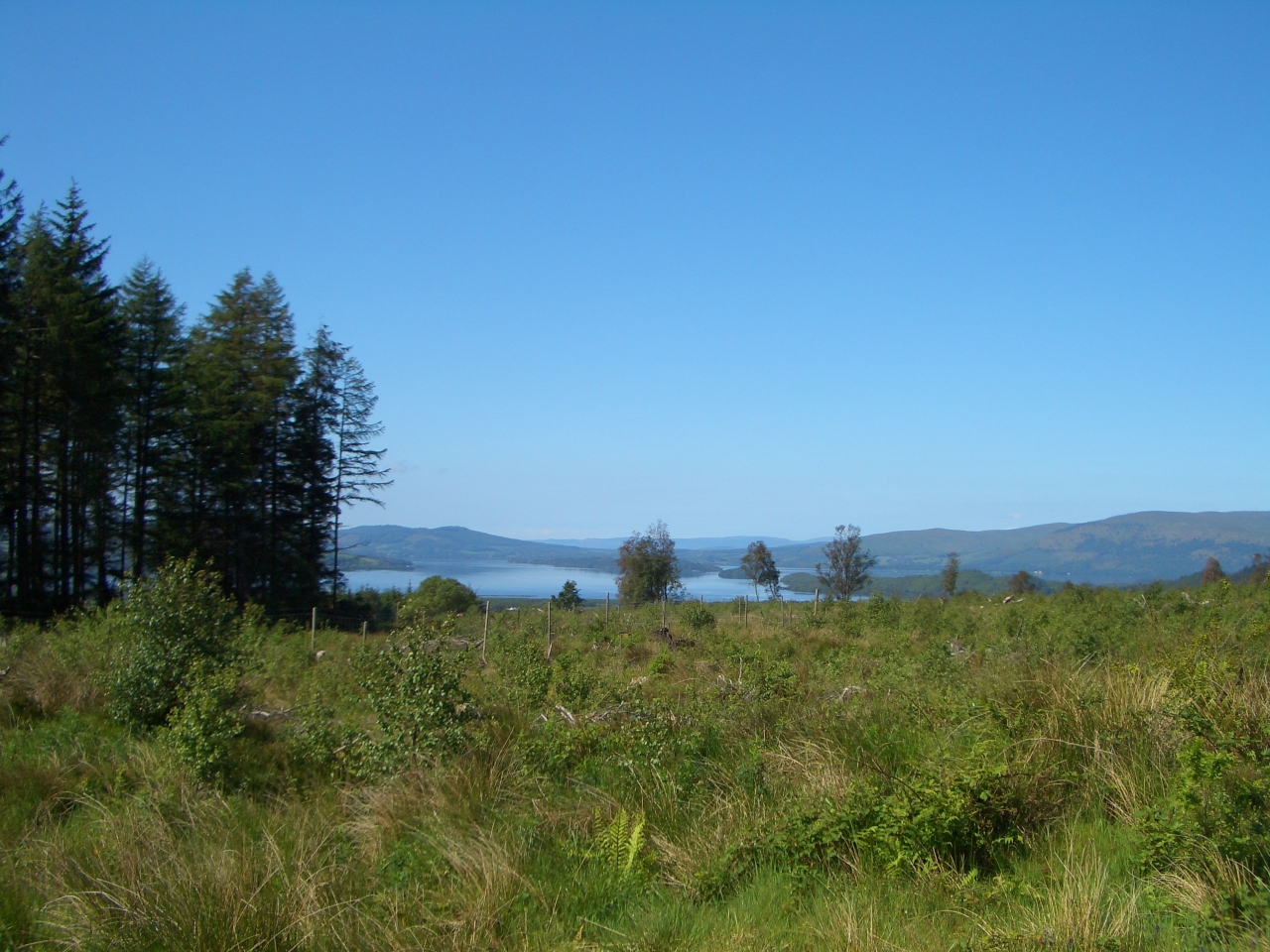 Tag_2_017_CIMG7910