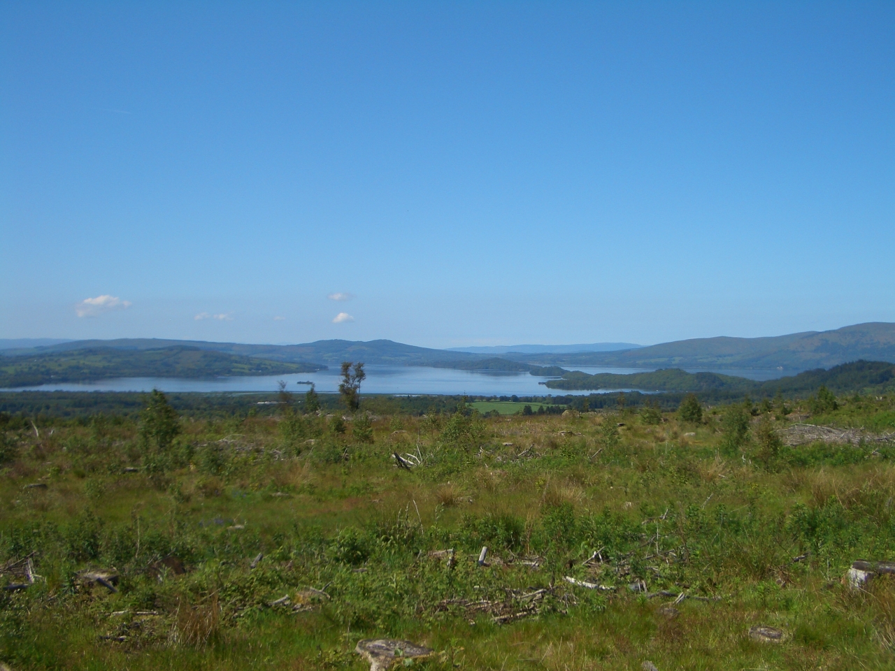 Tag_2_020_CIMG7913