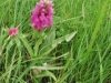 Tag_2_004_873022_32