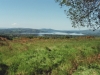 Tag_2_007_873022_33