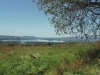 Tag_2_008_873022_34