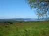 Tag_2_009_CIMG7906