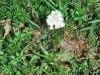 Tag_2_010_873022_35