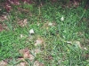 Tag_2_011_873022_36