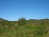 Tag_2_015_CIMG7908
