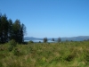 Tag_2_017_CIMG7910