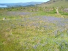 Tag_2_021_CIMG7914