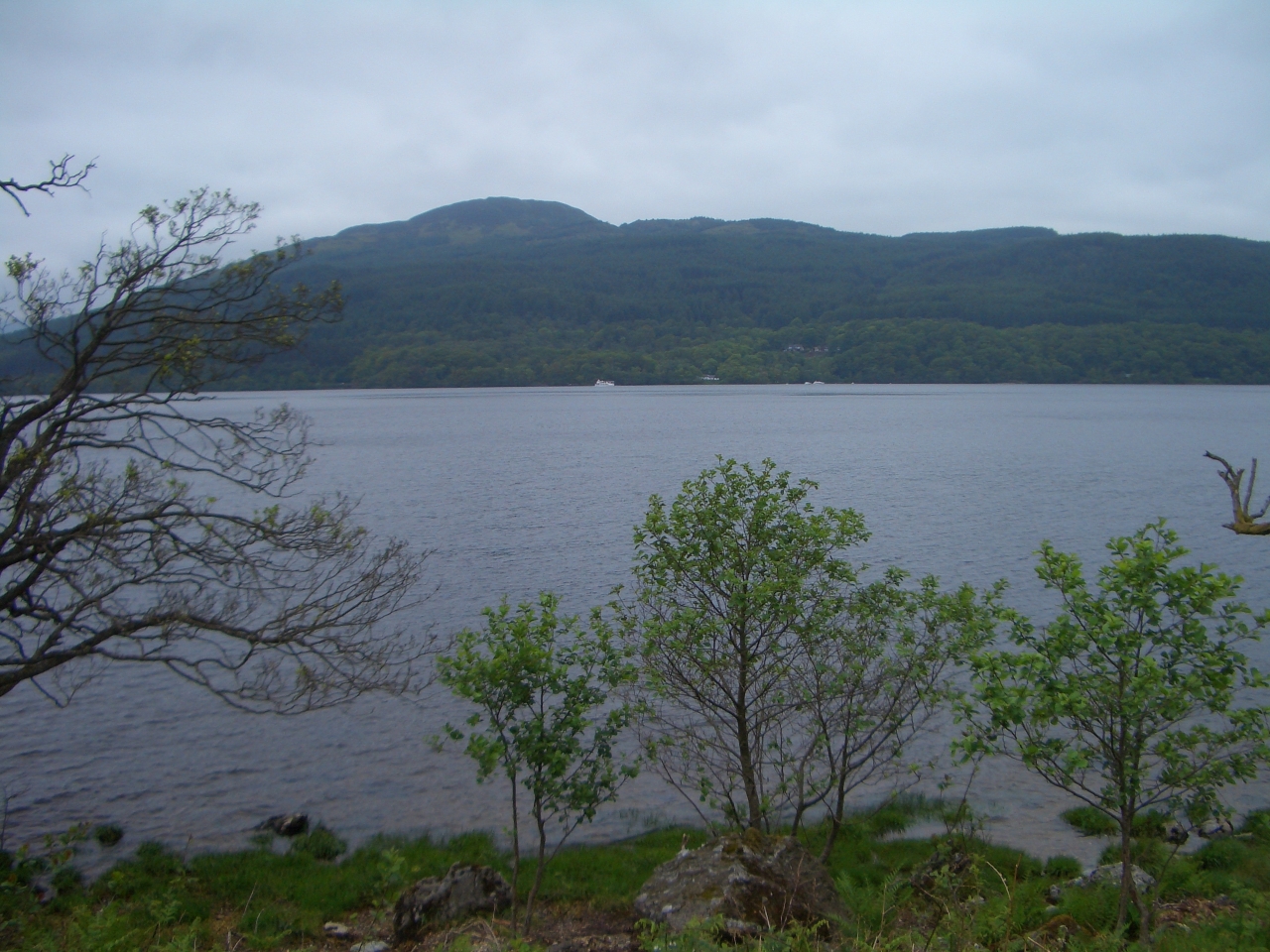 Tag_3_011_CIMG7936