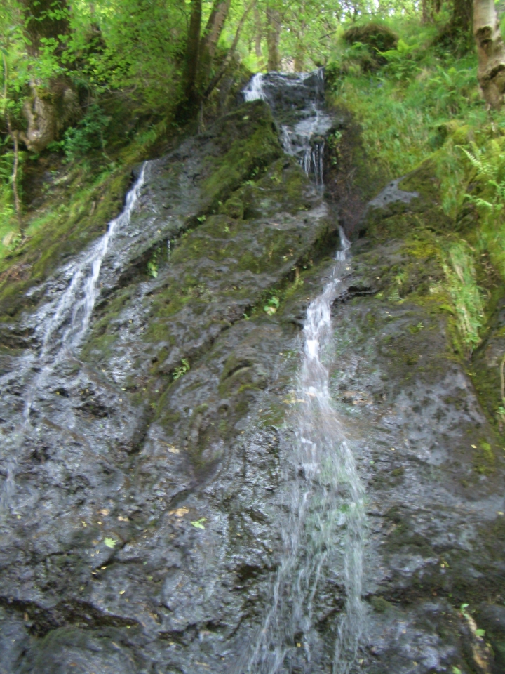 Tag_3_025_CIMG7948