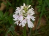 Tag_3_012_CIMG7937