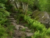 Tag_3_018_CIMG7941