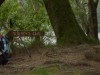Tag_3_019_CIMG7942