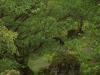 Tag_3_020_CIMG7943