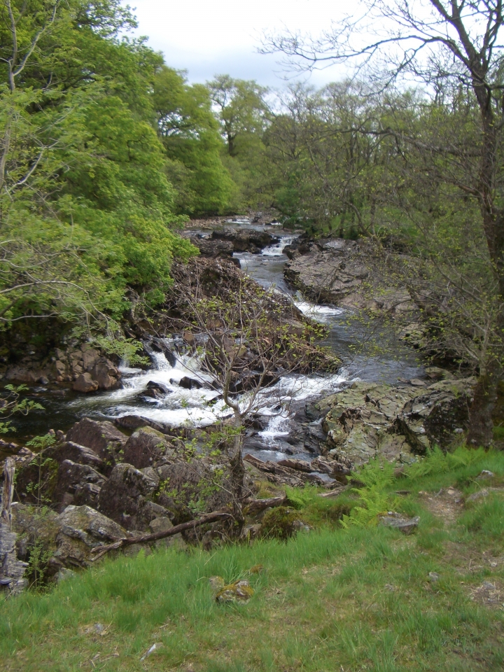 Tag_4_004_CIMG7961