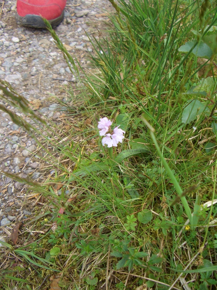 Tag_4_005_CIMG7962