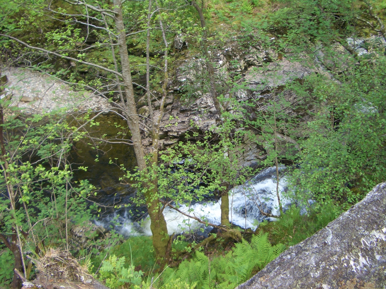 Tag_4_009_CIMG7964