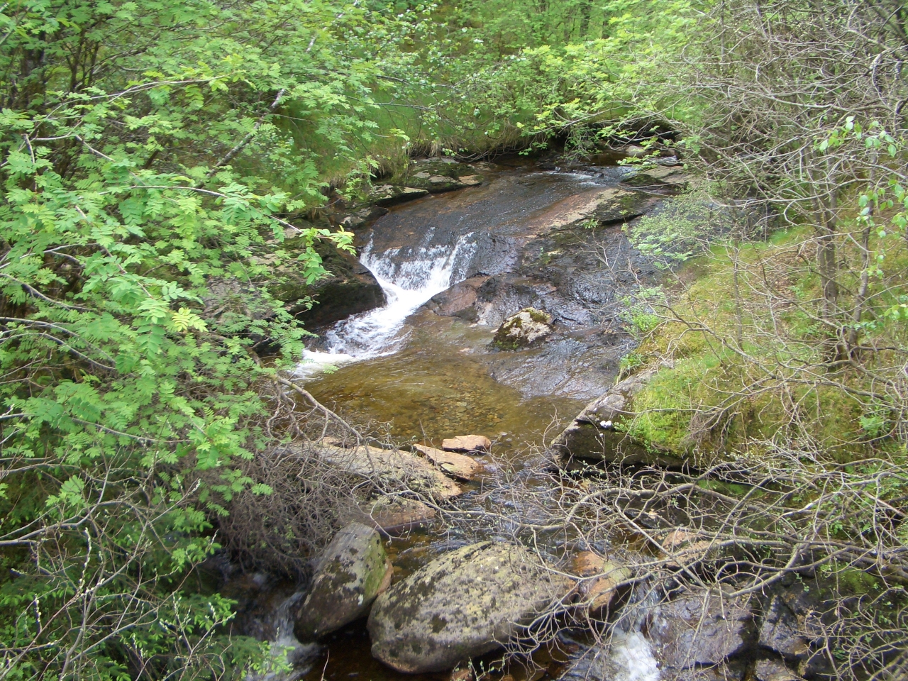 Tag_4_026_CIMG7971