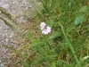 Tag_4_005_CIMG7962