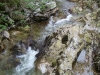 Tag_4_037_CIMG7982