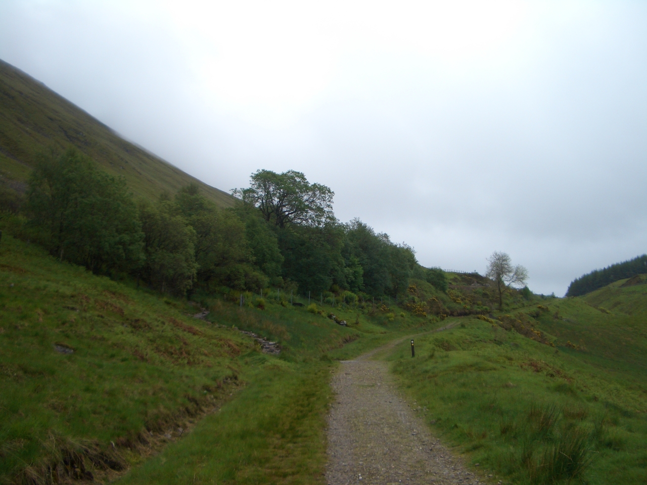 Tag_5_008_CIMG7995