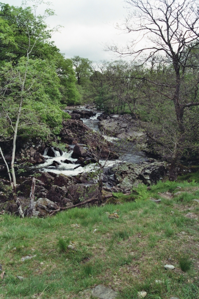 Tag_5_013_873020_01