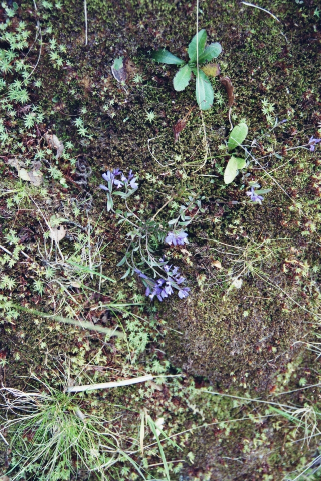 Tag_5_014_873020_02