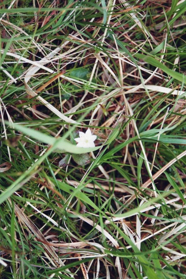 Tag_5_063_873020_08
