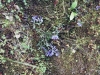 Tag_5_014_873020_02