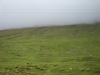 Tag_5_015_CIMG8000