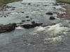 Tag_5_020_873020_03