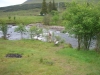 Tag_5_025_CIMG8004