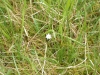 Tag_5_049_CIMG8022