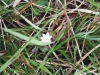 Tag_5_063_873020_08