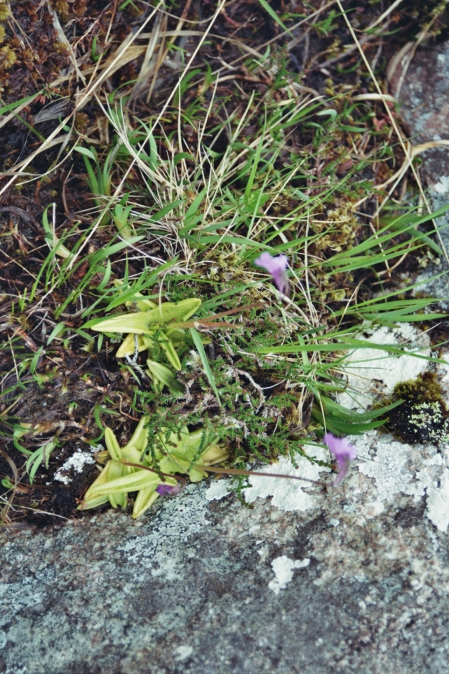 Tag_6_040_873020_19