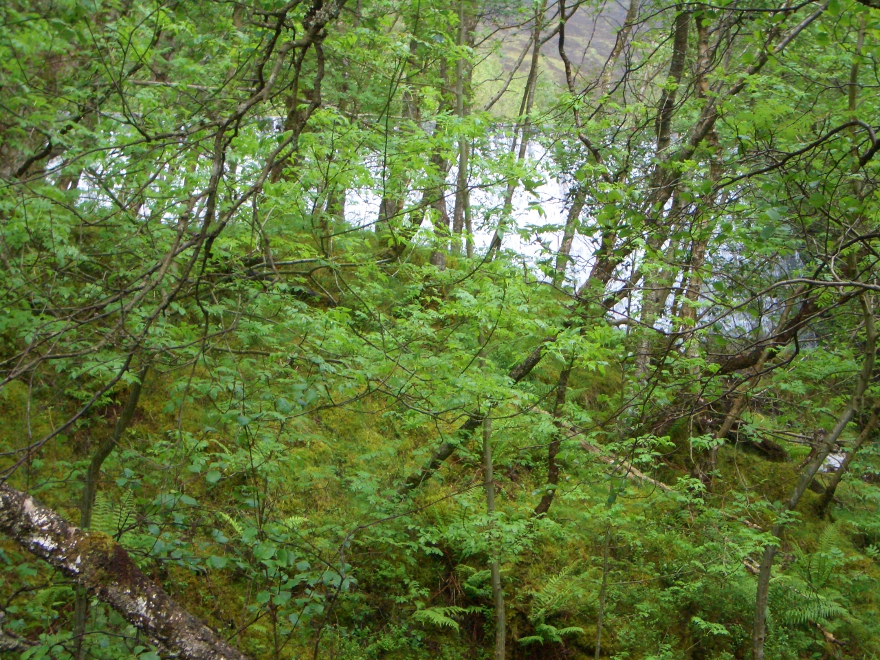 Tag_6_055_CIMG8071