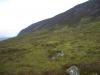 Tag_6_011_CIMG8046