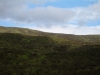 Tag_6_016_CIMG8049