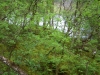 Tag_6_055_CIMG8071